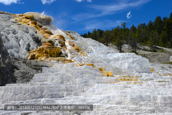 黃石公園猛犸溫泉-匯圖網(wǎng) www.fosd68.com 黃石公園猛犸溫泉