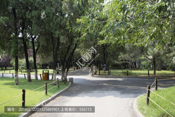 公園里的岔路