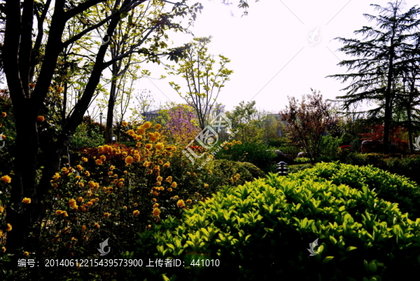 美麗花園