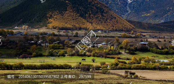 香格里拉