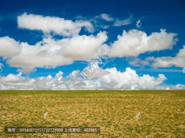 西藏阿里地區(qū)草原風(fēng)光