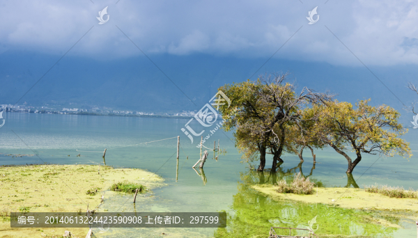 大理洱海