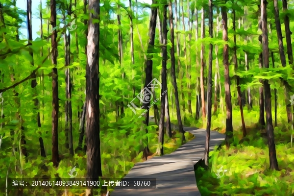 電腦水彩畫,林間小路