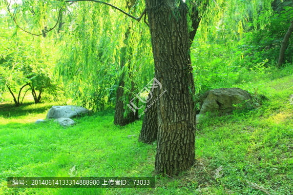 草坪,,草場(chǎng),,樹(shù)林,樹(shù)