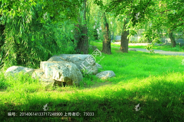 草坪,,石頭,,樹林,樹
