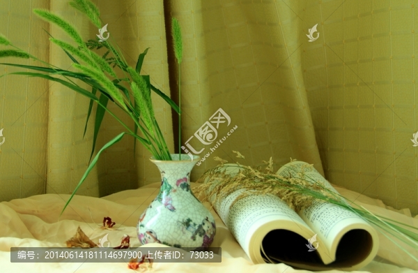 瓷瓶,麥穗草,書籍