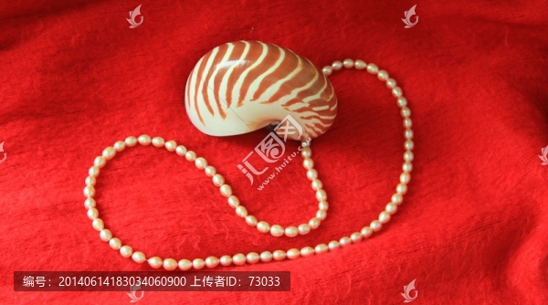 珍珠項(xiàng)鏈,鸚鵡海螺