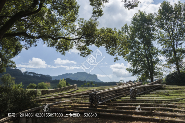 武夷山木筏