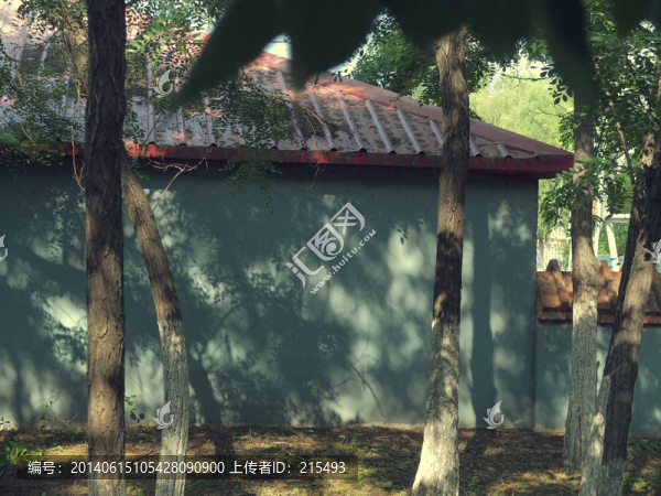 林中小屋,樹(shù)影