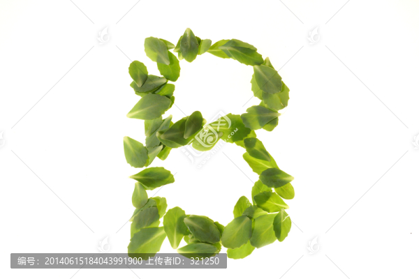 綠色樹葉組成的字母B
