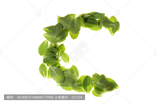 綠色樹葉組成的字母C