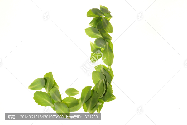 綠色樹葉組成的字母J