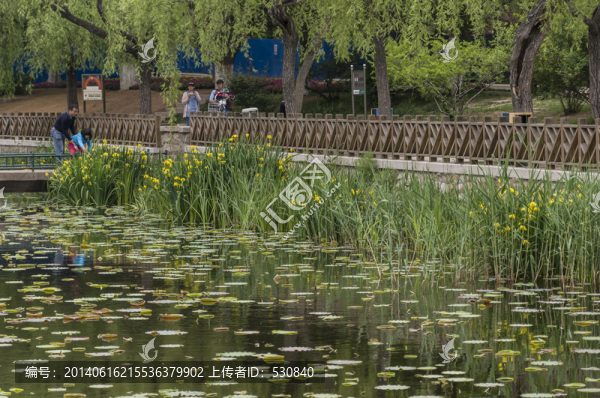 西湖