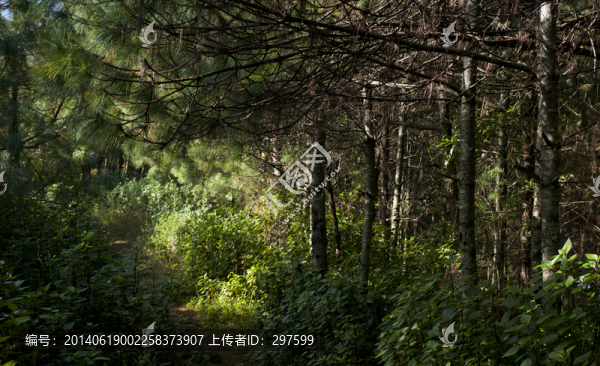 騰沖火山公園