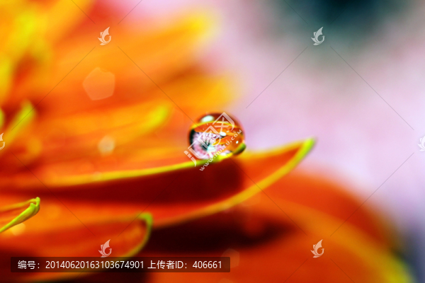 幻彩水珠