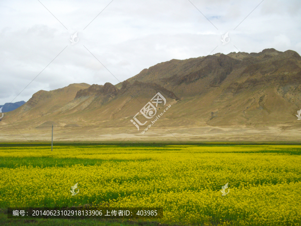 西藏高原風(fēng)光