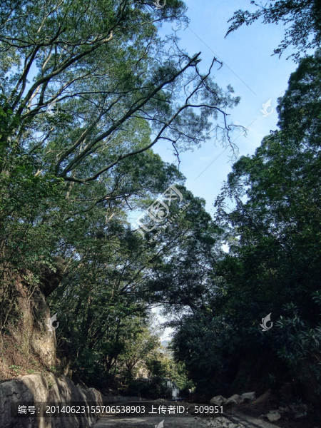 山路,小徑