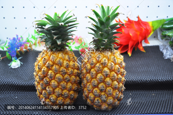 菠蘿