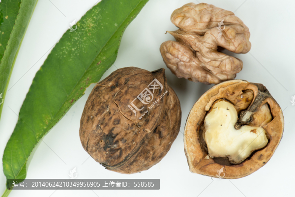 核桃與綠葉