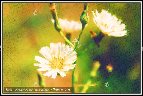 花卉水彩畫