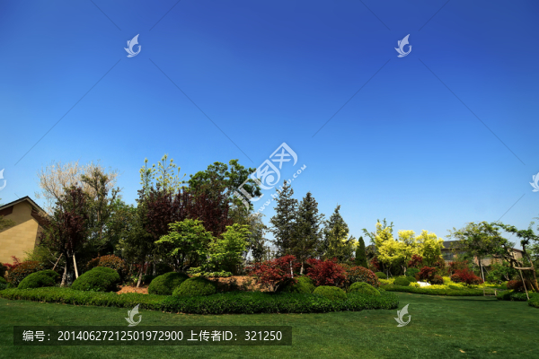 園林景觀綠化,公園