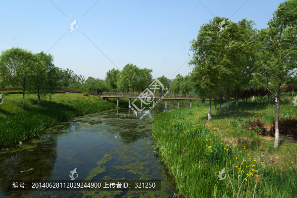 濕地公園