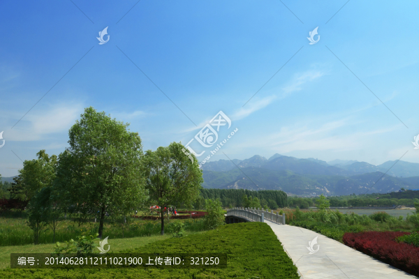 園林景觀綠化