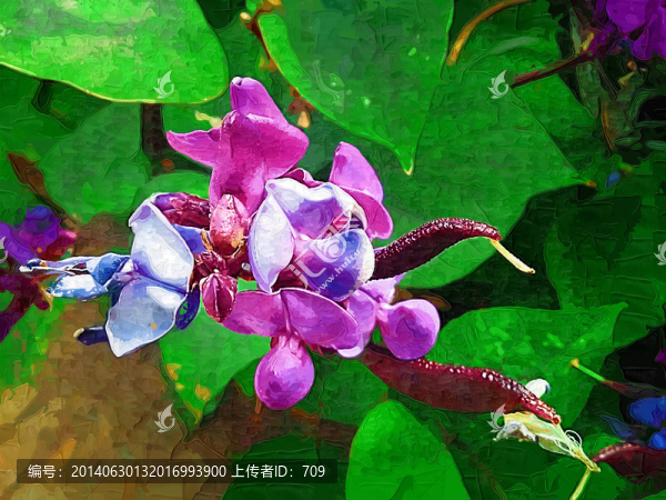 綠葉花卉