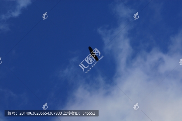 翱翔藍(lán)天