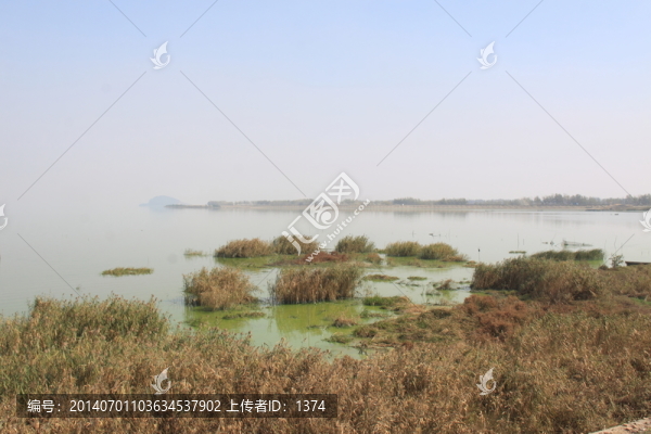 巢湖岸邊