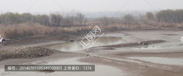 巢湖岸邊