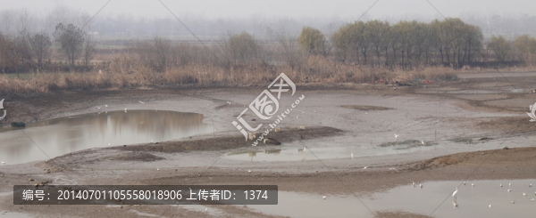 巢湖岸邊