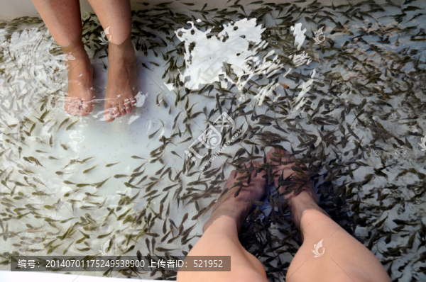 魚療jpg高清