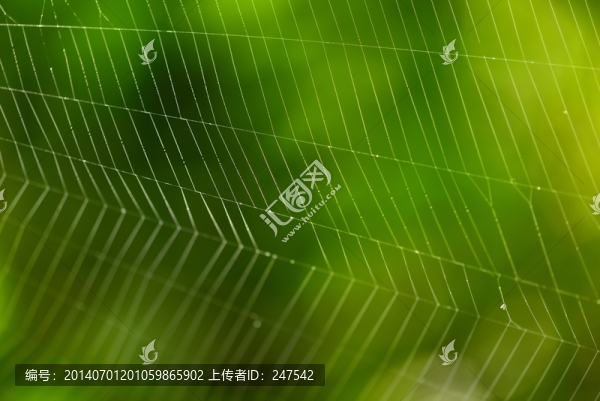 網(wǎng),紋理