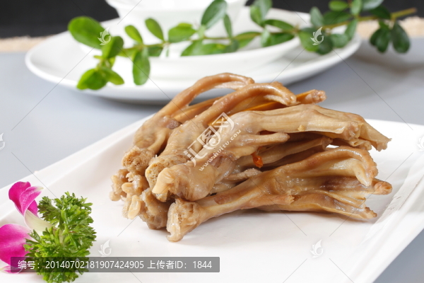 鴨掌