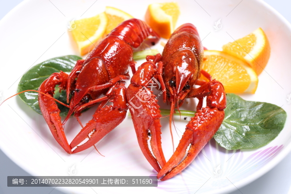 龍蝦