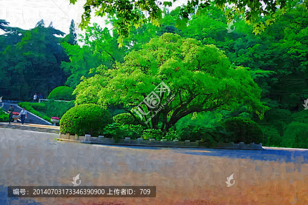大樹(shù)
