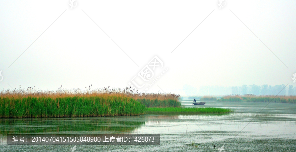 湖中撐來一條船