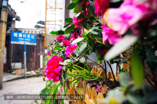 古鎮(zhèn)街道