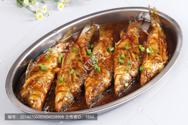 野生石魚