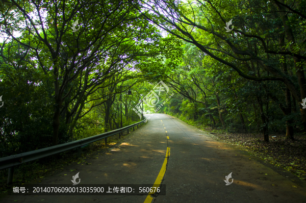 林蔭大道