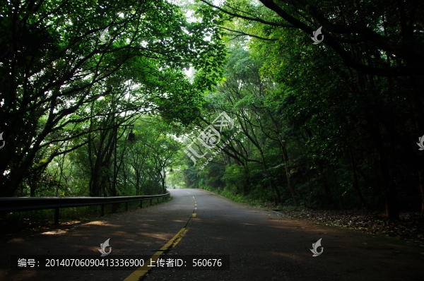 林蔭大道