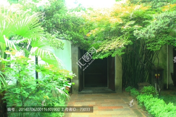 綠色植物,大門