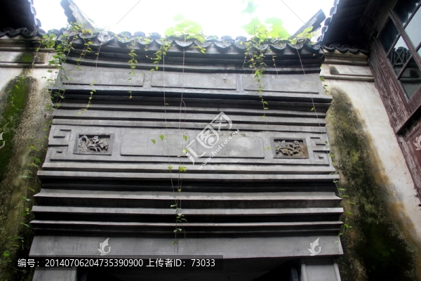 張家老宅,綠藤