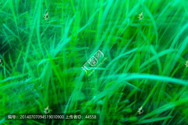 抽象線條
