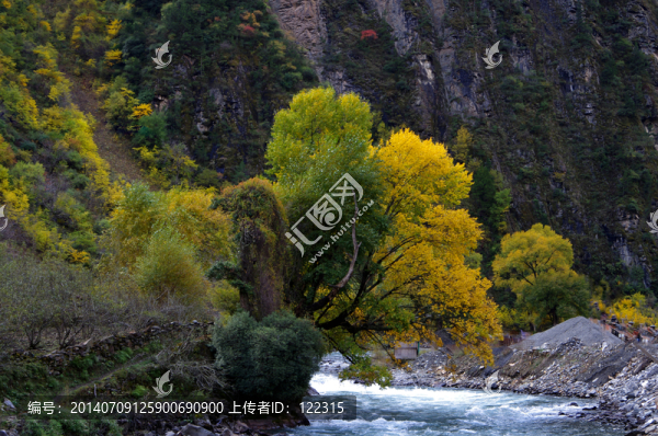 溪流風(fēng)景,美人谷紅葉