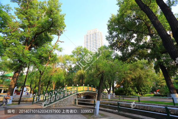 公園