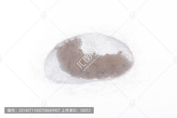蠶