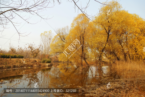 柳樹灣濕地