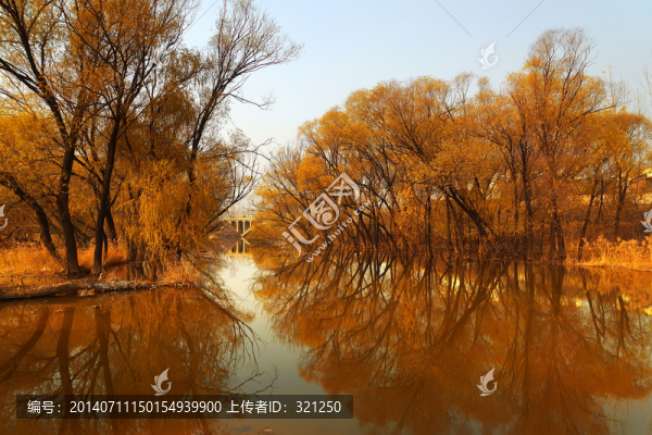 柳樹灣風(fēng)光